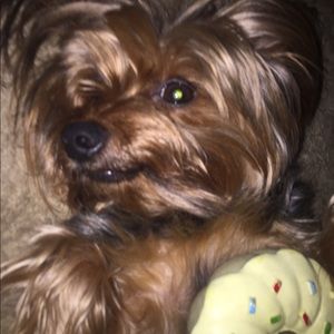 Meet your Posher, Garret